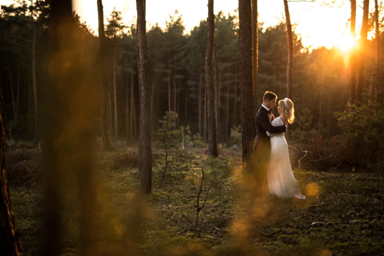 sesja ślubna w leśnej scenerii