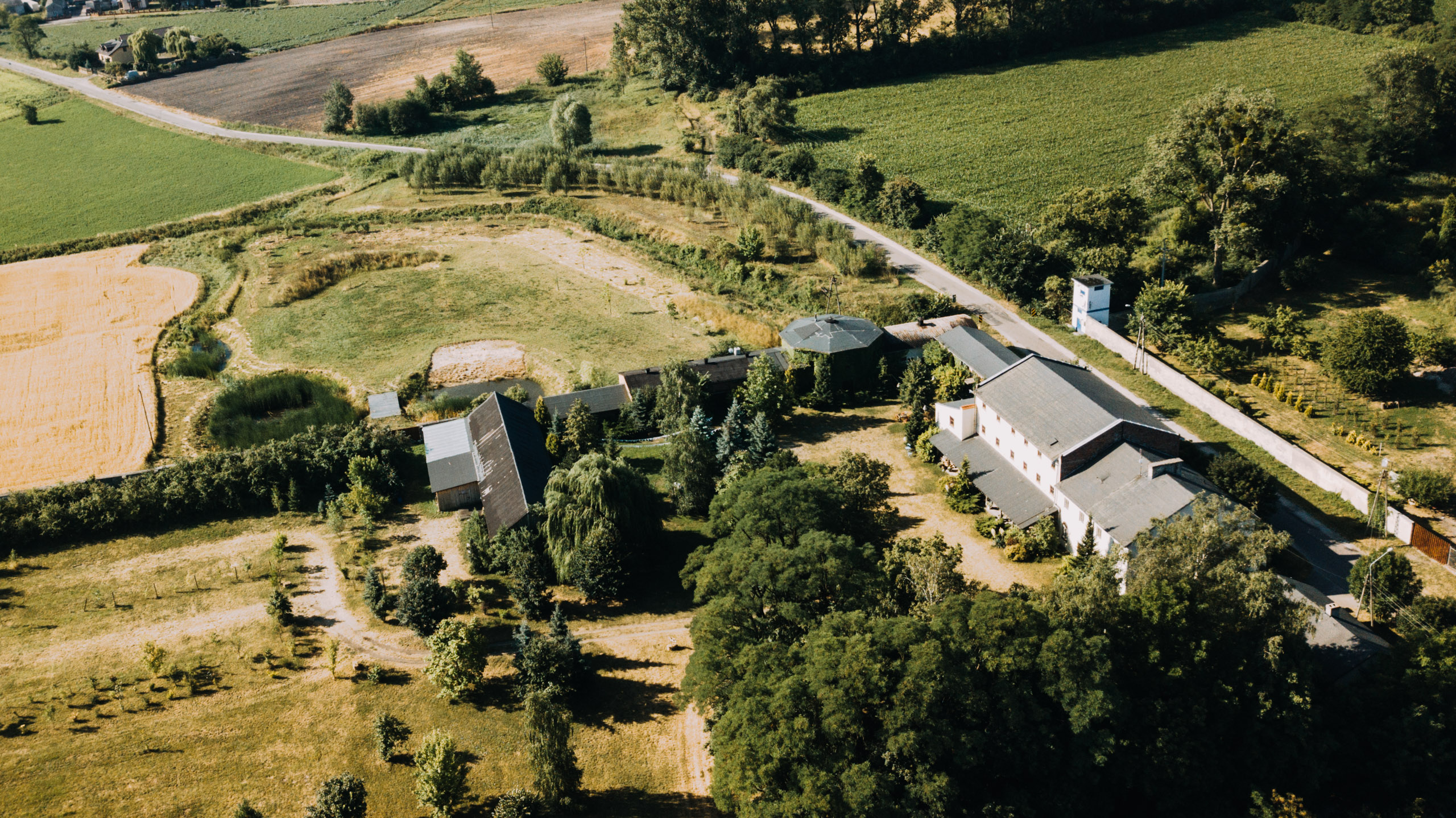 Osada Młyńska w okolicy Warszawy Fotograf Ślubny Arek Pyrzyński